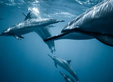 博鱼电竞官方网站——开启你的专业电竞之旅